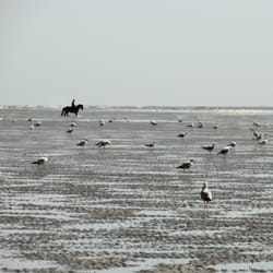 Plage du Touquet