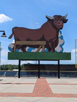Durham Bulls Athletic Park by null