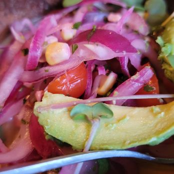 Lechon - Shrimp Ceviche, aji lime amarillo, avocado, jalapeno, cilantro - Tapas Bars Near Me - Portland, Oregon Lechon - Shrimp Ceviche, aji lime amarillo, avocado, jalapeno, cilantro - Tapas Bars Near Me - Portland, Oregon