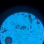 Photo of Lake Allergy, Asthma & Immunology