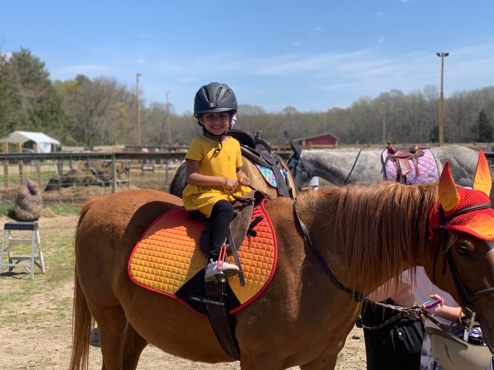 Redwood Farms - equestrian in Mullica Hill, NJ