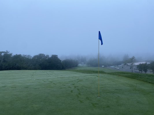 Healdsburg Golf Club at Tayman Park by null
