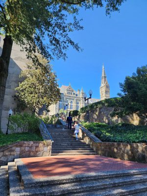 Georgetown University by null