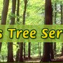 Photo of Cutters Tree Services