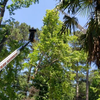 Milam's Tree Service - Tree Services Near Me - McDonough, Georgia Milam's Tree Service - Tree Services Near Me - McDonough, Georgia