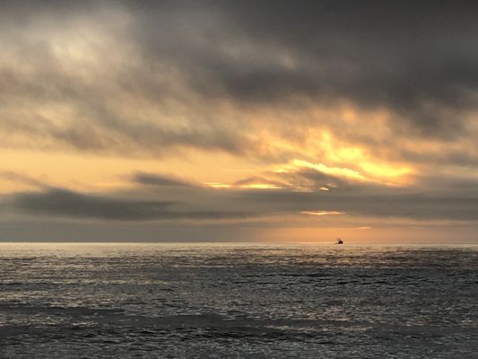 Gold Bluffs Beach Campground by null