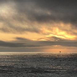 Gold Bluffs Beach & Campground