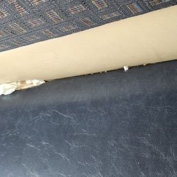 Yeah that's the seat.