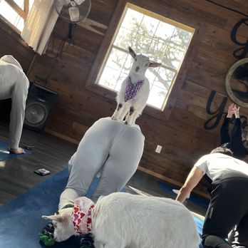 Alaska Farms - Yoga Near Me - Orlando, Florida Alaska Farms - Yoga Near Me - Orlando, Florida