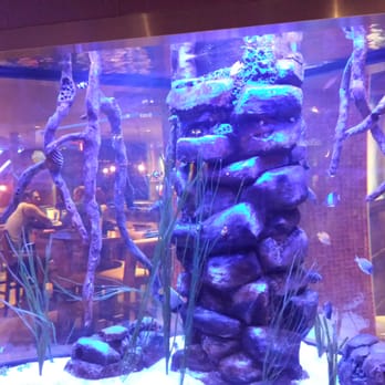 Kona Grill - El Paso - Sushi Bars Near Me - Paso, Texas