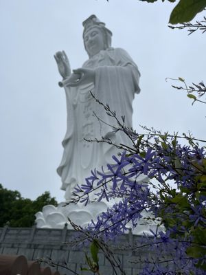 Tsz Shan Monastery by null