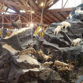 Cabela's - Outdoor Gear Near Me - Owatonna, Minnesota