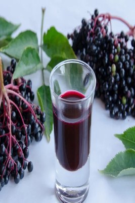 Lost River Naturals by null