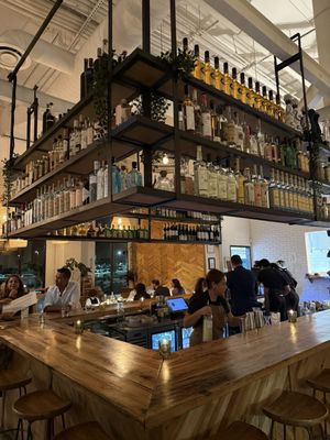 Oaxaca ATL by null Oaxaca ATL by null