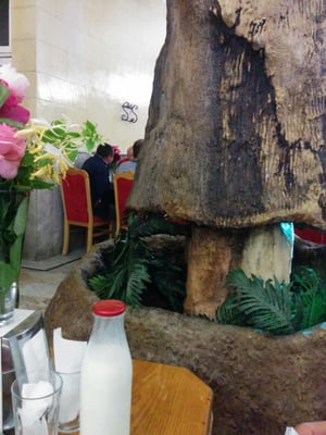 Çulcuoğlu Et Lokantası ® by null