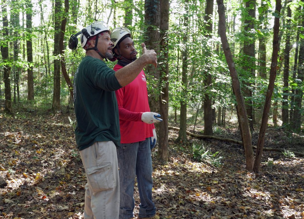Gunnison North Atlanta - tree service in Vinings, GA