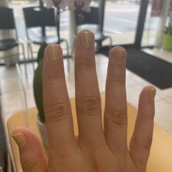 Cali Pronail - Fresh manicure