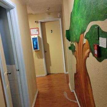 Turtle Hostel - Hostels Near Me - Victoria, British Columbia
