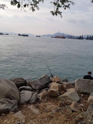 Tsim Sha Tsui Promenade by null