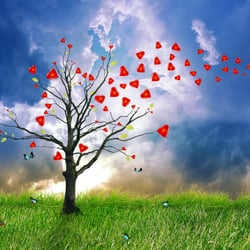 Family Constellations