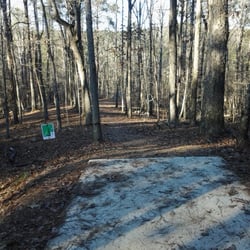 Inverness Disc Golf Course InDiGo - Hole 4 Tee Box.