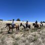 Photo of Yavapai Trail Adventures