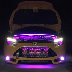 Expert Customs