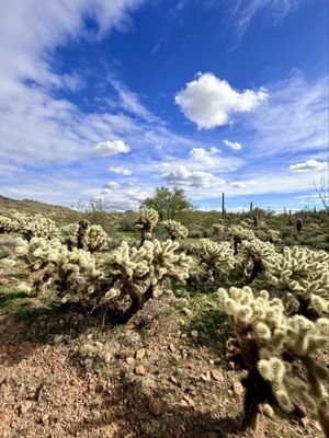 Flying E Ranch by null
