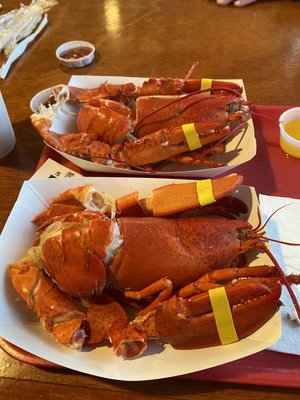 Markey's Lobster Pool by null