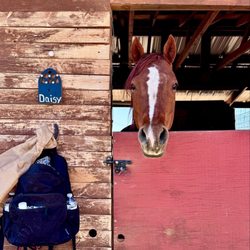 Organ Mountain Ranch