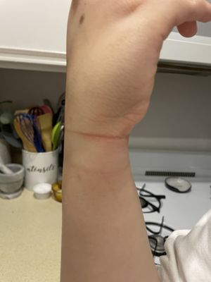 Woodland Hills on Ice by null