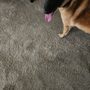 Photo of Best Way Carpet Care