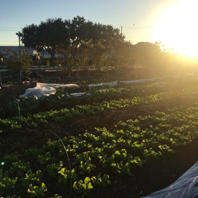 Finca Tres Robles by null