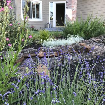Sunrise Garden Design - Beautiful low water plants for curb appeal - Landscaping Near Me Sunrise Garden Design - Beautiful low water plants for curb appeal - Landscaping Near Me