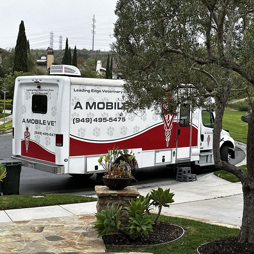 THE BEST 10 Mobile Veterinarians near Laguna Beach, CA - Quality &  Affordability - Updated 2026 - Yelp