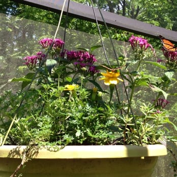 Lost River Cave - Butterfly Habitat - Boat Tours Near Me - Bowling Green, Kentucky