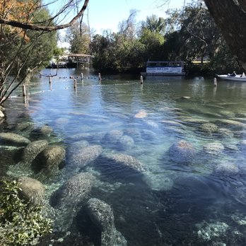 Three Sisters Springs - Tours Near Me - Crystal River, Florida Three Sisters Springs - Tours Near Me - Crystal River, Florida