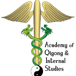 Academy of Qigong & Internal Studies