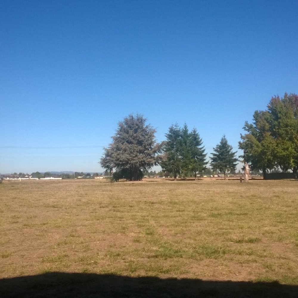 Centennial Park - Dog Parks Near Me - Woodburn, Oregon