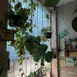 Cafe Deli-Icious