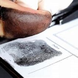 DYP Mobile Notary Services