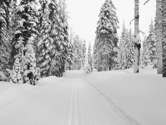 Royal Gorge Cross Country Ski Resort by null