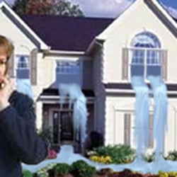 All Expert Restoration & All Texas Flooring