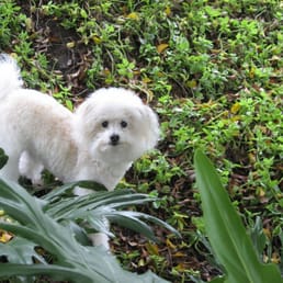 Right after Baby was groomed