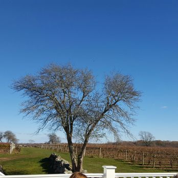 Jonathan Edwards Winery - Wineries Near Me - North Stonington, Connecticut