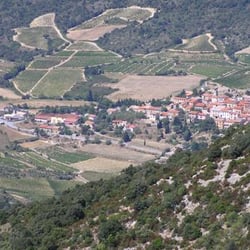 Auberge du Vigneron