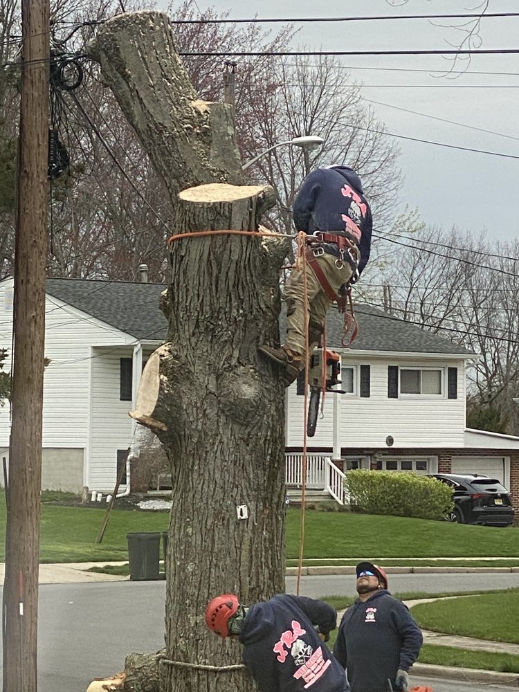 JRS TREE SERVICE Updated October 2024 10 Reviews 105 Church St