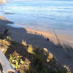 Pleasure Point Pool & Spa Repair