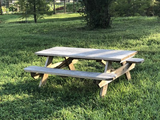 UCF Arboretum by null