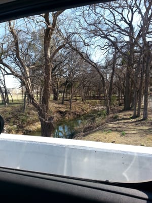 Treetops International School